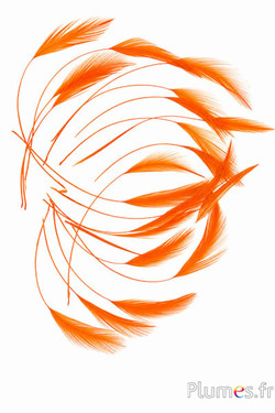 Hahn - 10-15 cm - orange
